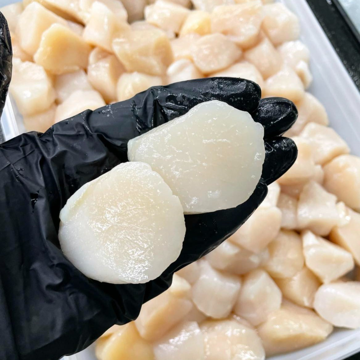 Atlantic Sea Scallops (1 lb, 10/20 ct) — Dry-Packed, Sushi-Grade