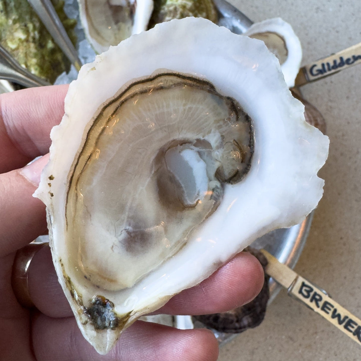 Brewer Oysters (Damariscotta River, ME) 25 Oysters