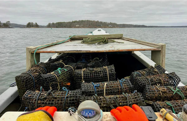 Emily's Maine Oysters (Casco Bay, ME)