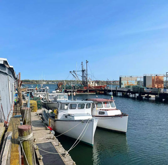 Holyoke Wharf SoPo Seafood .webp__PID:7e9b62fc-7498-488d-91b9-e2978a7254e2