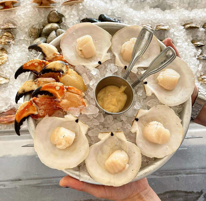 Live Maine Sea Scallops (in the shell, 10 ct)