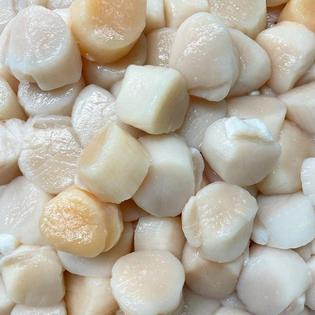 Maine Dayboat Scallops