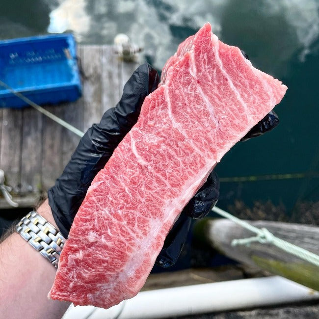 Maine Bluefin Tuna Toro Toro Shipped Overnight SoPo Seafood