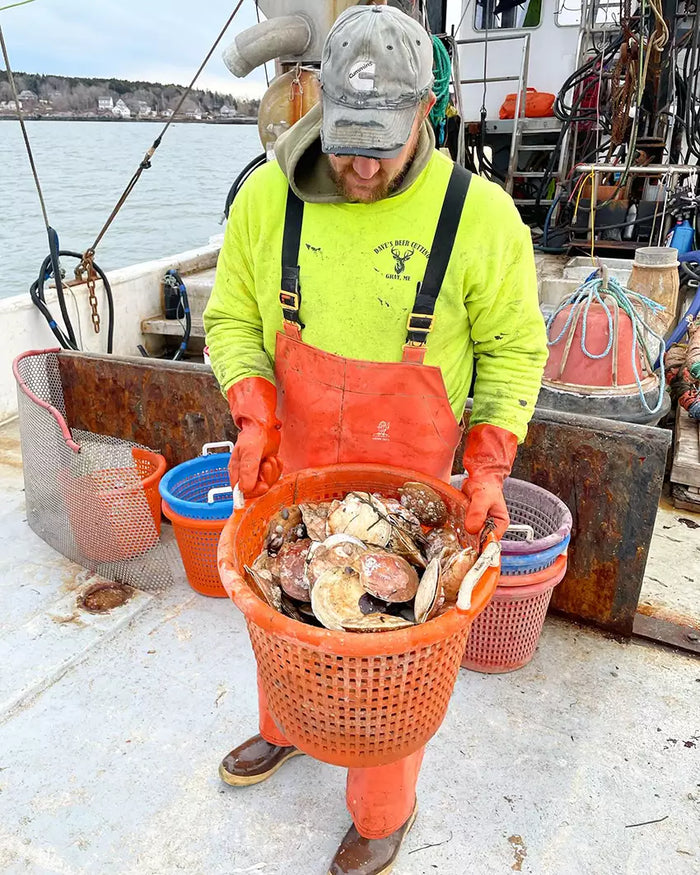 Maine fisherman with local sea scallops.webp__PID:0422cd3b-19f2-4cf1-a392-97879e39f88d