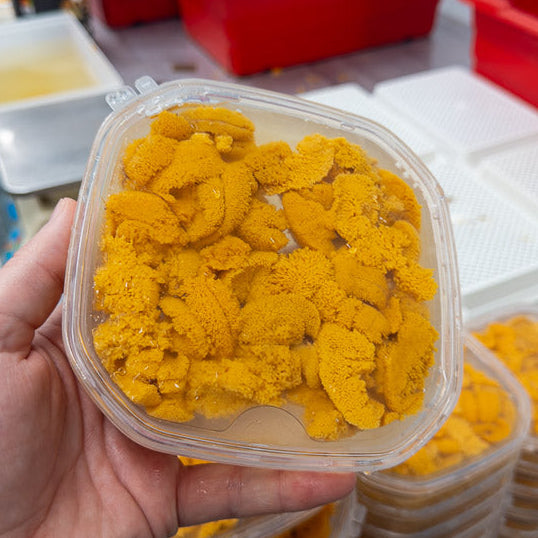 Maine Sea Urchin Roe (Sushi-Grade Uni) 5.3 Oz Tray (Season Ending)