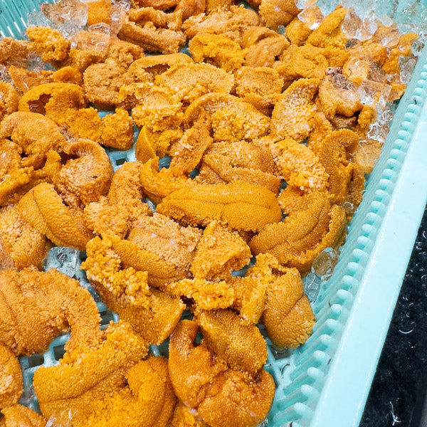 Maine Sea Urchin Roe (Sushi-Grade Uni) 5.3 Oz Tray (Season Ending)