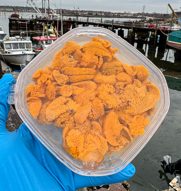 Maine Sea Urchin Roe (Sushi-Grade Uni) 5.3 Oz Tray