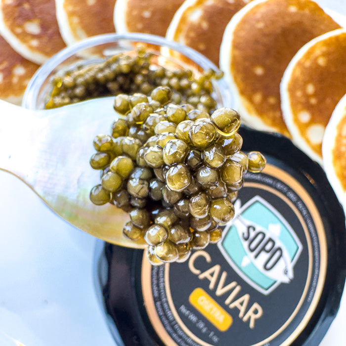 Osetra Caviar