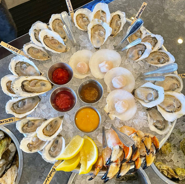 Live Maine Sea Scallops (in the shell, 10 ct)