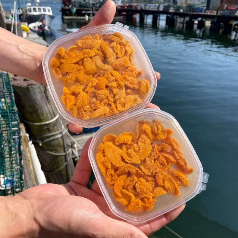 Sea Urchin Roe (Sushi-Grade Uni) 2.8 Oz Tray - Season Closing Soon