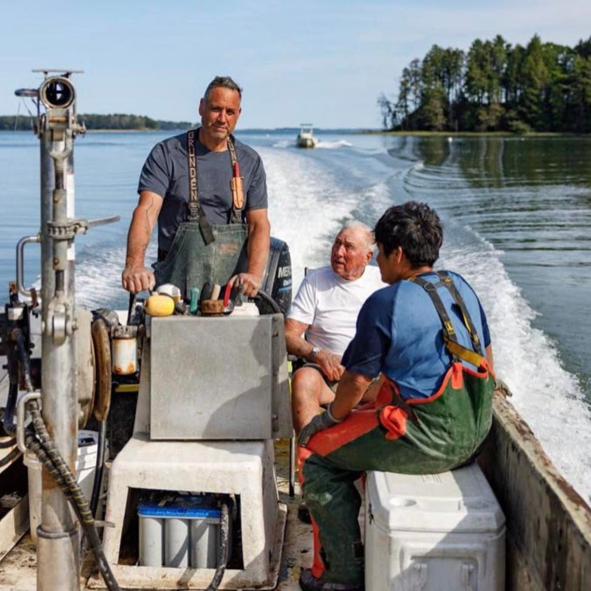 Butterfield Maine Oysters (Casco Bay, ME)