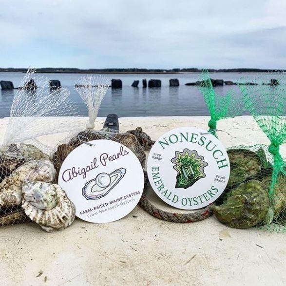 Nonesuch Maine Oysters