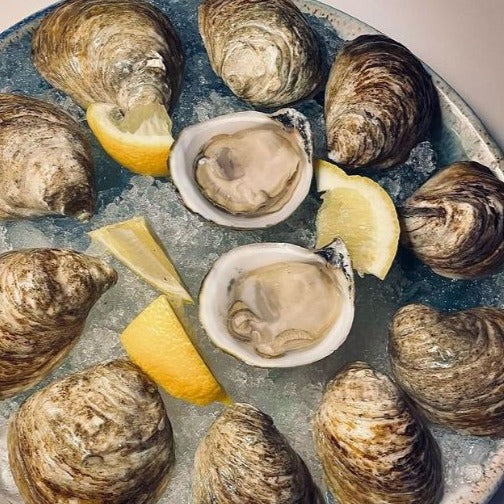 Brine Stone Maine Oysters (Brunswick, ME) - CURRENTLY UNAVAILABLE