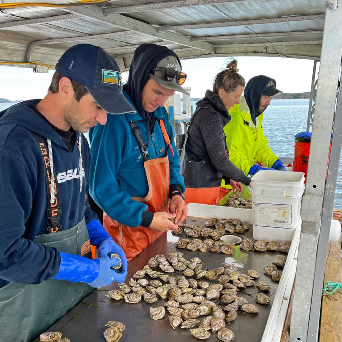 Wet Smack Maine Oysters (Freeport, ME)