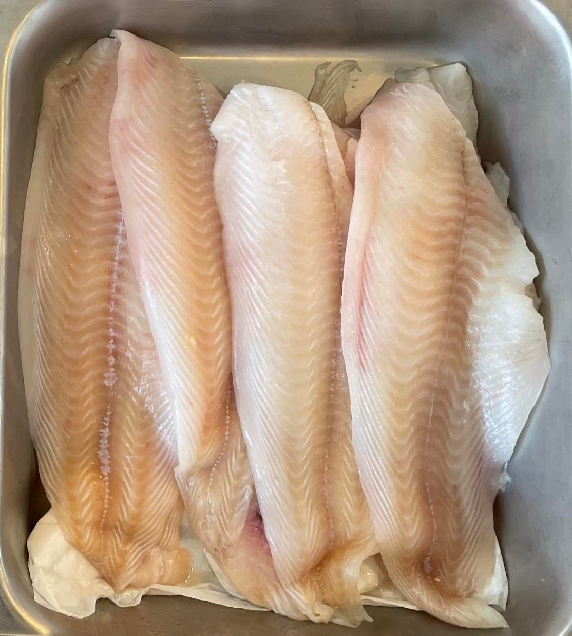 Fresh Gulf of Maine Flounder Fillet (Sustainable Fishery/Never Frozen)