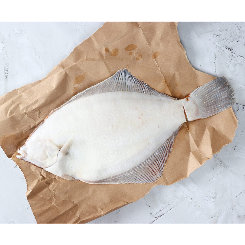 Fresh Gulf of Maine Flounder Fillet (Sustainable Fishery/Never Frozen)