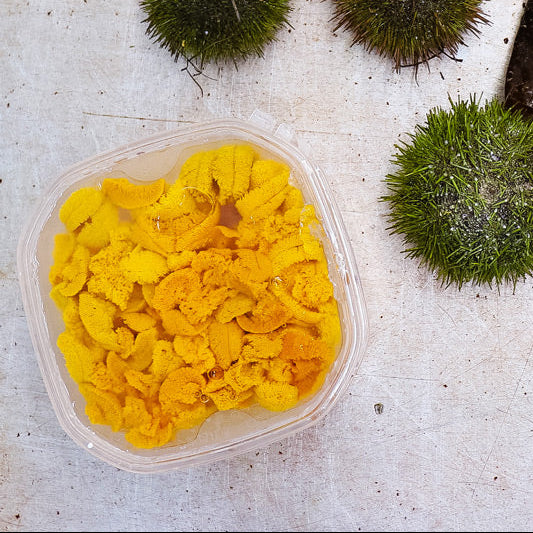 Maine Sea Urchin Roe (Sushi-Grade Uni) 5.3 Oz Tray (Season Ending)