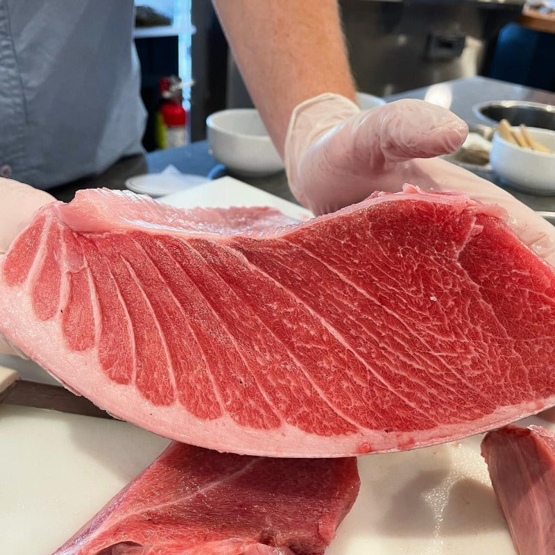 Maine Bluefin Tuna TORO (Belly) - SEASON CLOSED