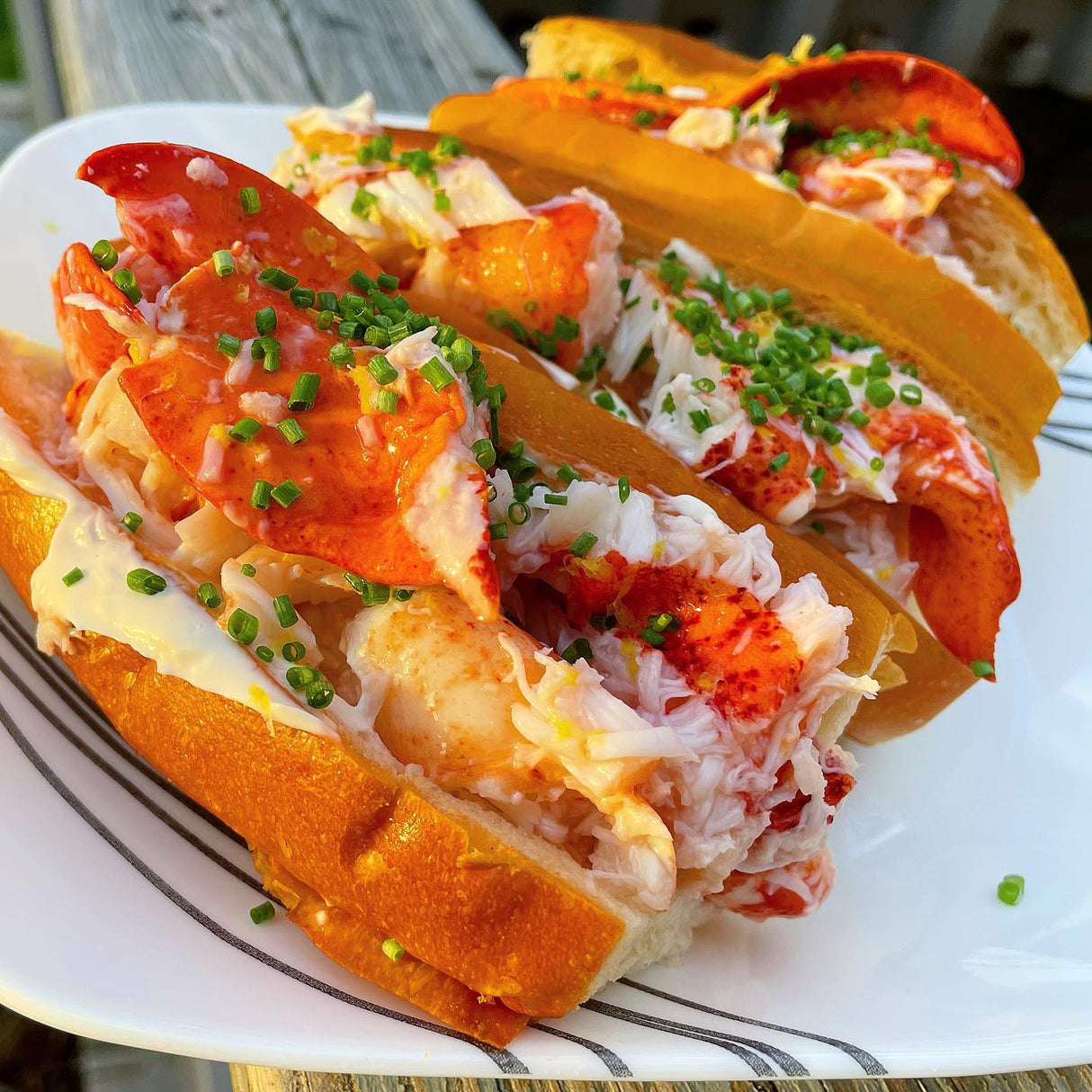 Maine Lobster Roll Kit