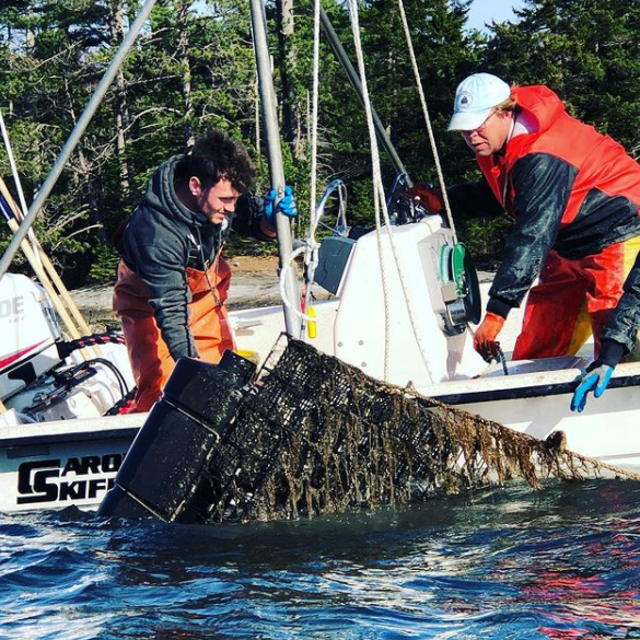 Mere Point Maine Oysters (Brunswick, ME) - CURRENTLY UNAVAILABLE