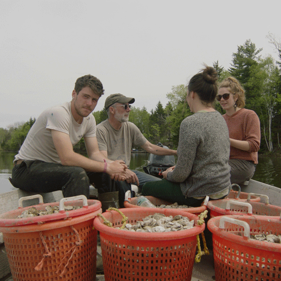 North Haven Maine Oysters (North Haven, ME) - SOLD OUT