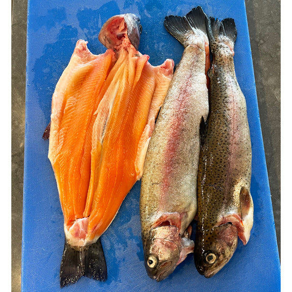 Fresh New England Rainbow Trout (Head-On - Butterflied/Boneless)