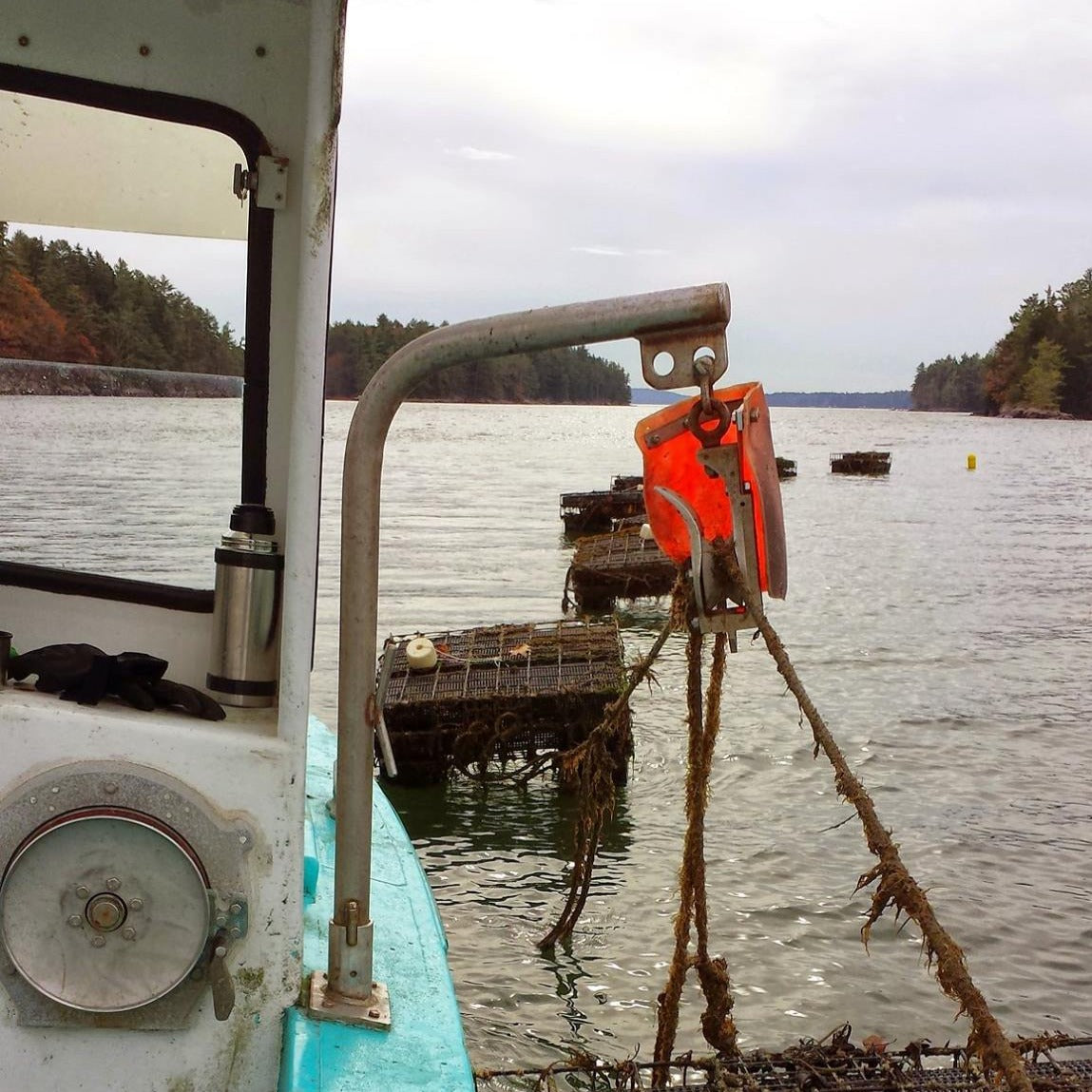 Winnegance Maine Oyster (West Bath, ME) - SOLD OUT