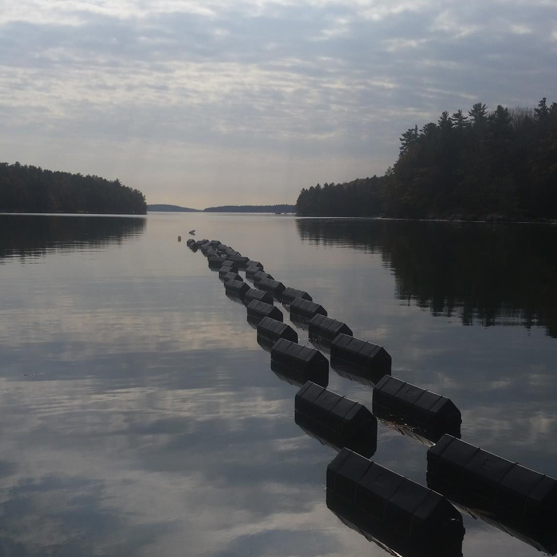 Winnegance Maine Oyster (West Bath, ME) - SOLD OUT