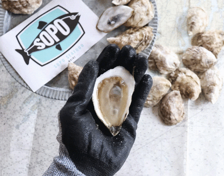 Oyster Gift Boxes