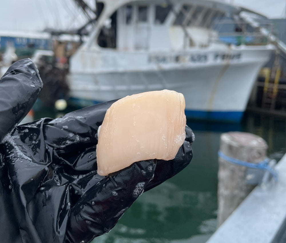 Pick Me Shellfish Buy Shellfish Online | SoPo Seafood | Maine Shellfish Delivery