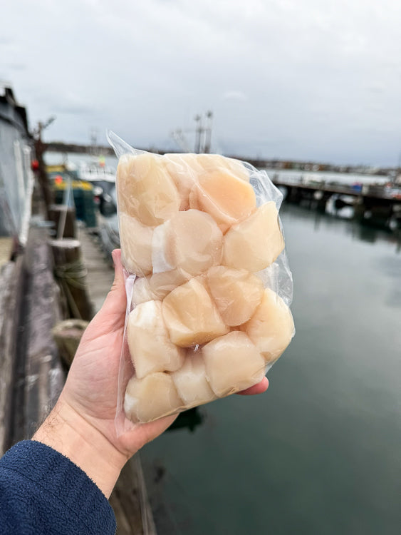 The Maine Seafood Gift Box (Our Best-Selling Gift Set)