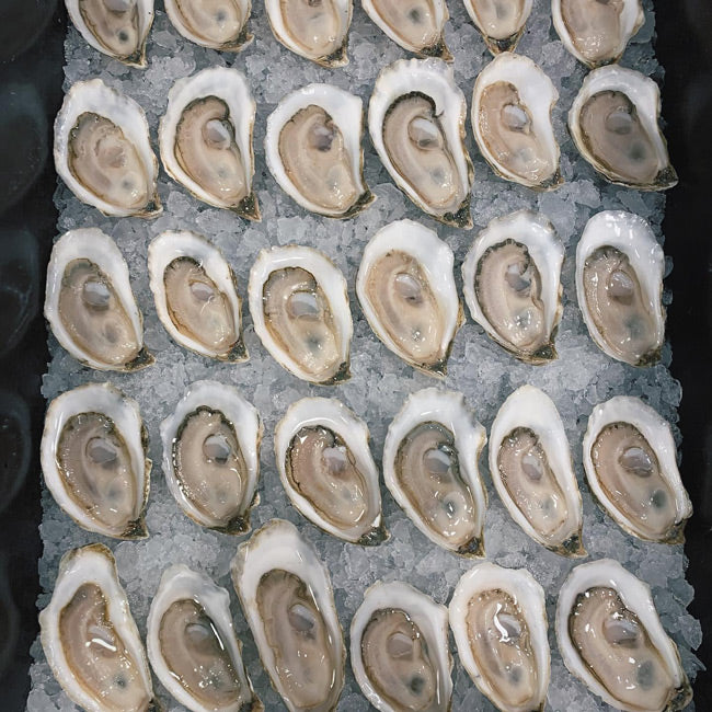 Bar Harbor Blonde Maine Oysters (Mount Desert Island, ME)
