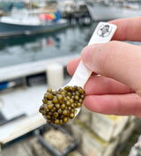 Maine Oyster & Caviar Kit