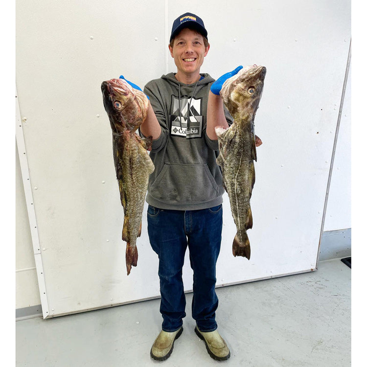Fresh Gulf of Maine Cod Fillet