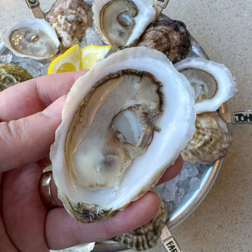 FareWell Maine Oysters (Damariscotta River, ME) 25 Oysters