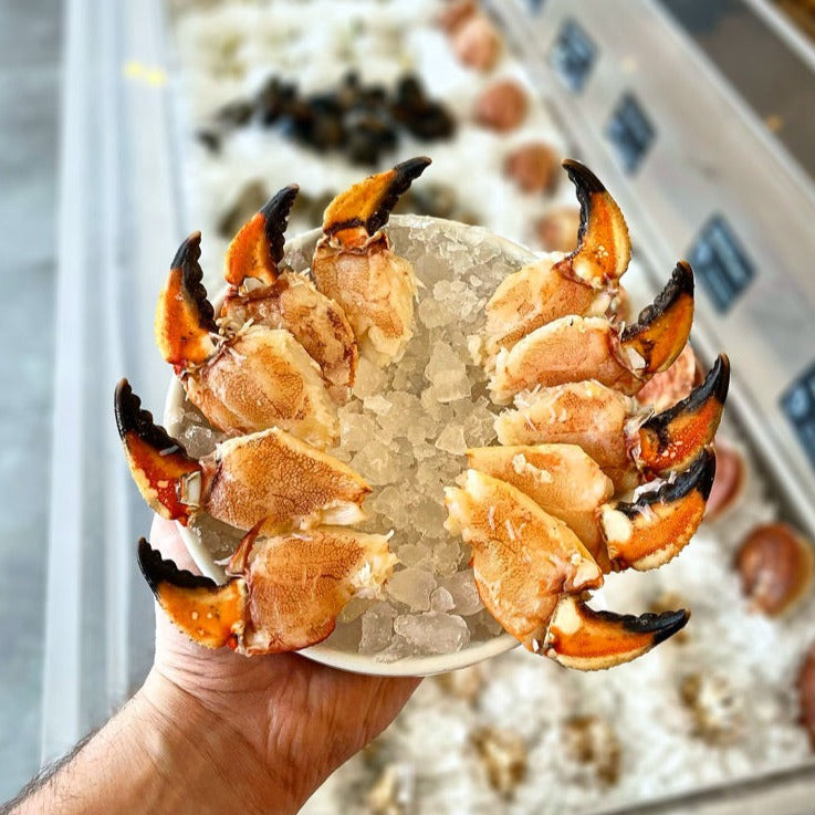 Jonah Crab Claws Buy Maine Crab Claws Online SoPo Seafood