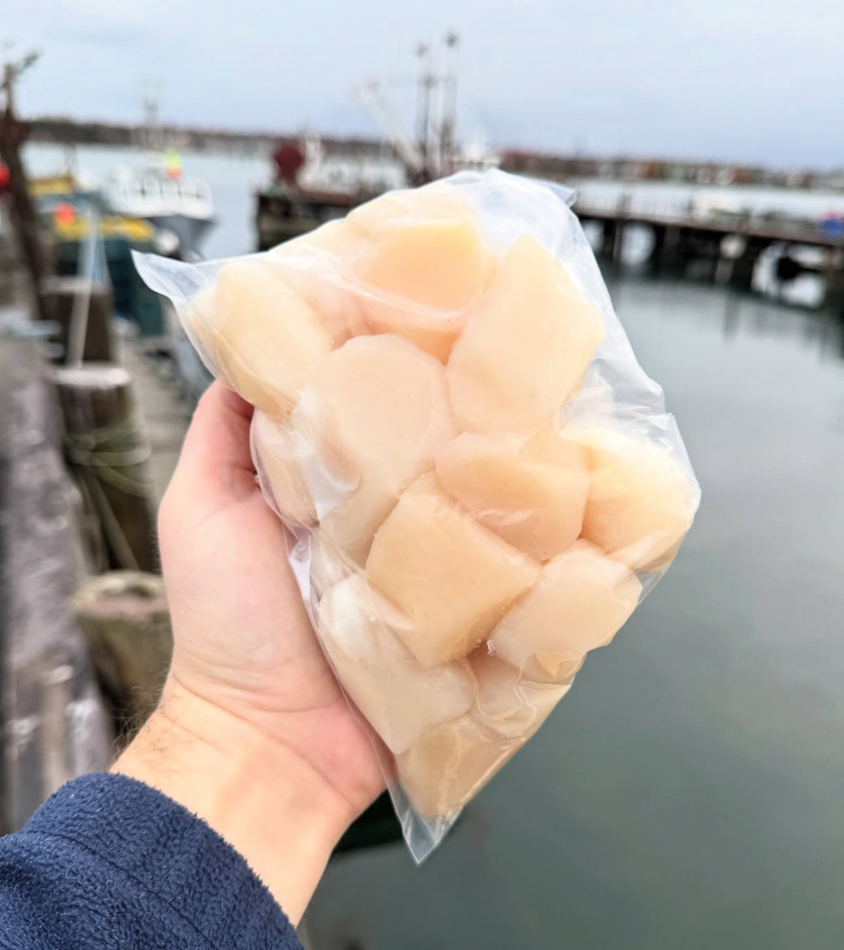 The Maine Seafood Gift Box (Our Best-Selling Gift Set)