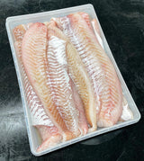 Fresh Gulf of Maine Cod Fillet (Never Frozen)