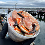Maine Jonah Crab Claws (1 lb) — Ready to Eat
