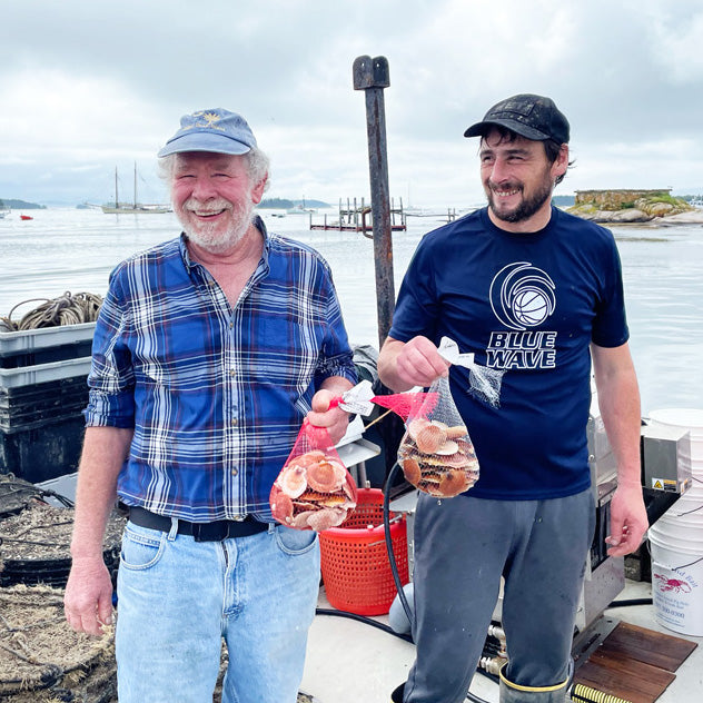 Live Maine Sea Scallops (in the shell)