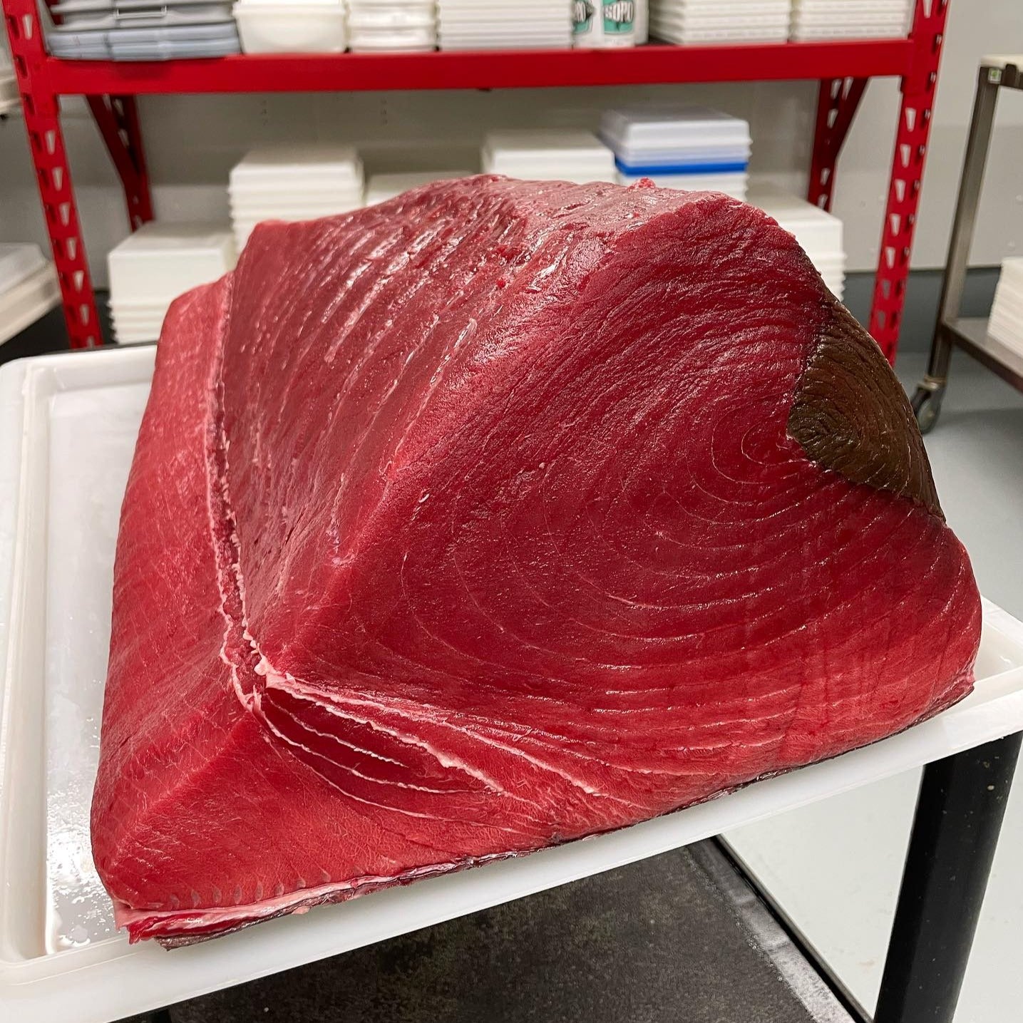 Maine Bluefin Tuna (Sushi-Grade Quality/Fresh & Never Frozen) SEASONAL NOTICE