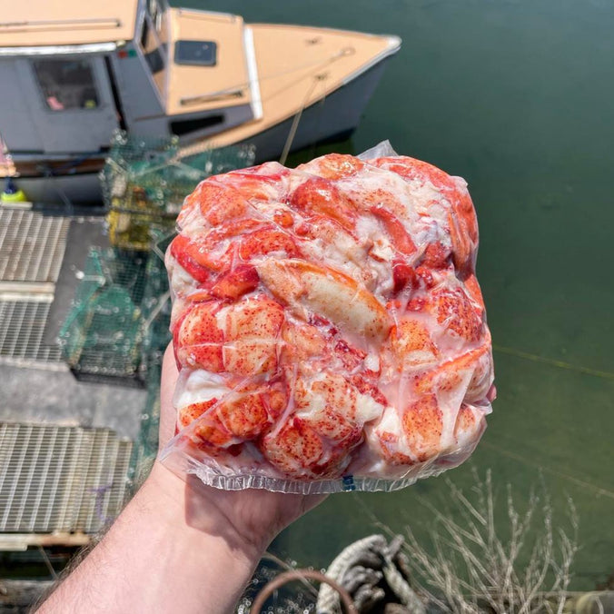 Fresh Maine Lobster Meat (Hand Picked TAIL, Claw, & Knuckle Meat) 1 lb bag - CURRENTLY UNAVAILABLE