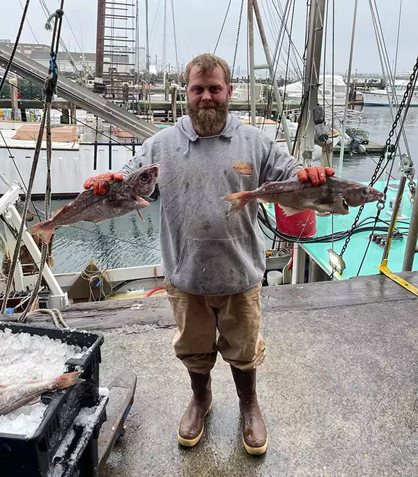 Fresh caught haddock held by local Maine fisherman