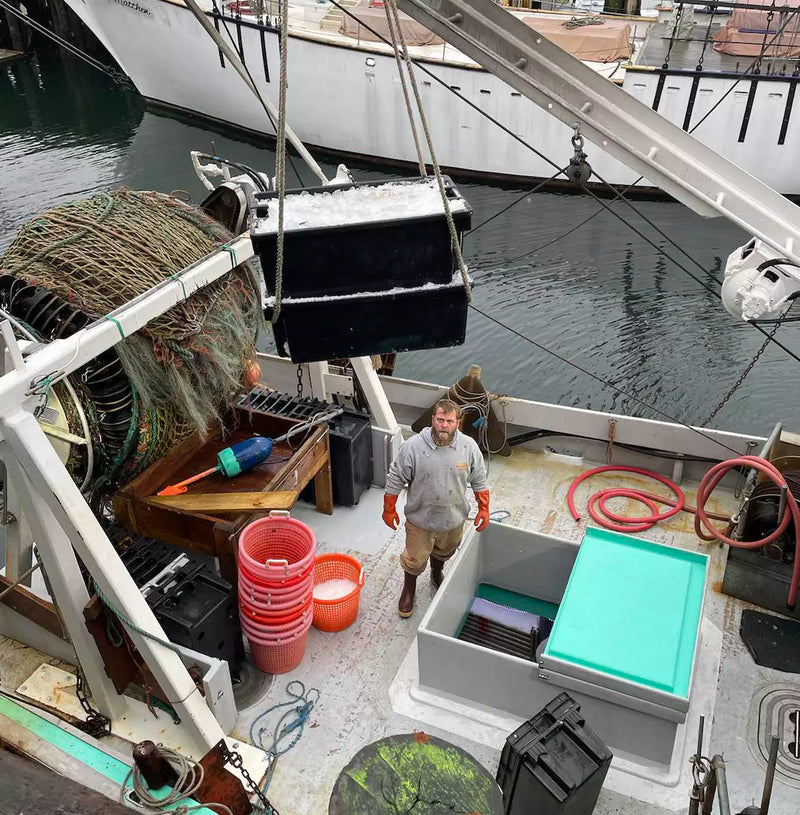 Maine fisherman loading fish to SoPo Seafood.webp__PID:c5ddca09-63b9-4e6e-a574-c8b9faa29cfd