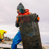 Mere Point Maine Oysters (Brunswick, ME) 25 Oysters
