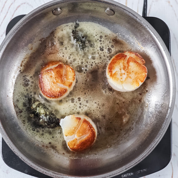 Atlantic Sea Scallops (1 lb, 10/20 ct) — Dry-Packed, Sushi-Grade