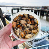 Dunstan Smoked Maine Mussels (8 Oz Cup)