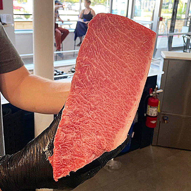 Maine Bluefin Tuna TORO (Belly) - SOLD OUT