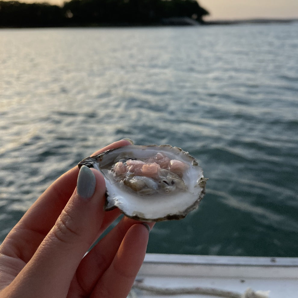 Blaney Point Maine Oysters (Cumberland, ME) - Back in May 2024