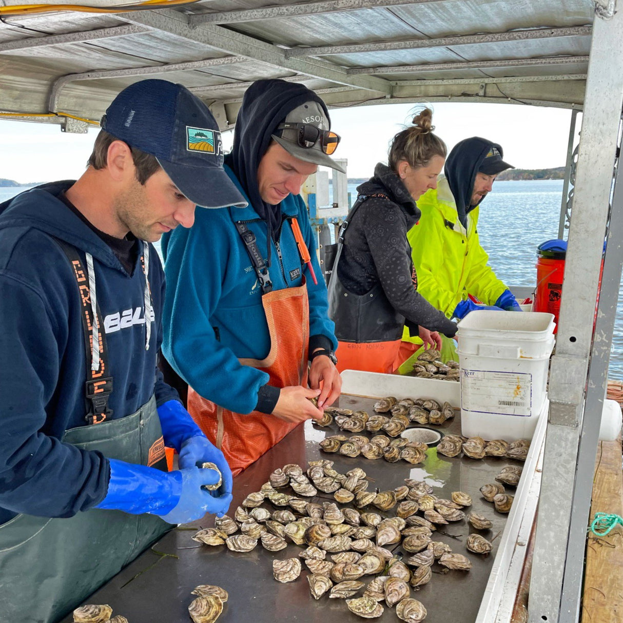 Wet Smack Maine Oysters (Freeport, ME) - Farm Closed for Winter